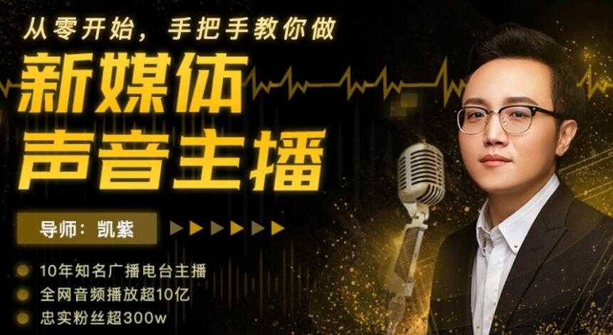 靠声音赚钱，手把手教你做，新媒体声音主播，0成本变现-副业网