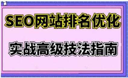 樊天华《SEO网站排名优化》实战高级技法指南-副业网