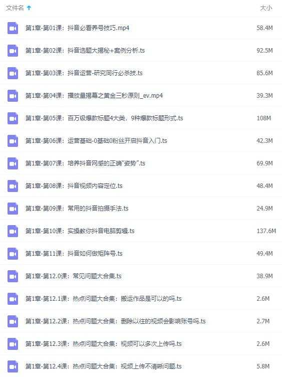玩转抖音教程，抖音运营实战教程：从小白到赚钱大神-副业网