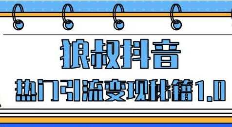 狼叔抖音培训课程，抖音热门引流变现秘籍1.0-副业网