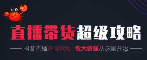 抖音直播带货超级攻略：抖音直播带货的详细玩法，小店运营、付费投放等-副业网