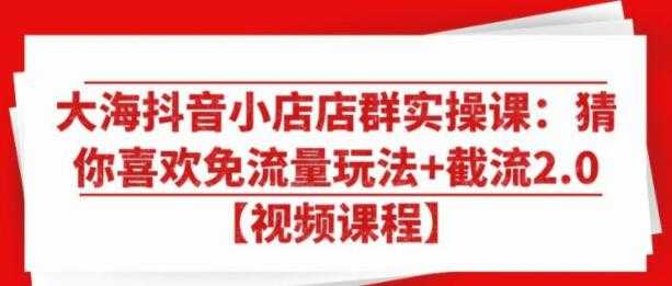大海抖音小店店群实操培训视频：猜你喜欢免流量玩法+截流2.0-副业网