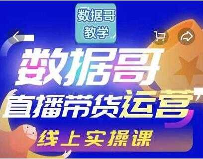 数据哥《抖音直播带货运营》线上进阶培训课程视频-副业网