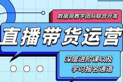 数据哥《新抖音直播带货运营课》(含电子资料)-副业网