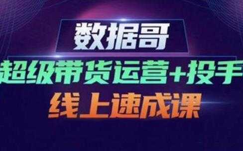 数据哥《超级带货运营+投手线上速成课》快速提升运营和熟悉学会投手技巧-副业网