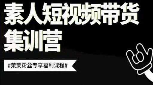 夜草与千里马《素人短视频带货集训营》培训课程视频-副业网