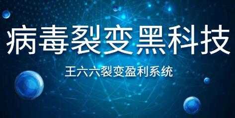 王六六裂变盈利系统课程第六课，病毒裂变黑科技-副业网