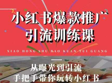 狼叔小红书爆款推广引流训练课，从曝光到引流手把手带你玩转小红书-副业网
