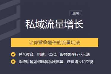 2020私域流量增长让你营收翻倍的流量课程-副业网
