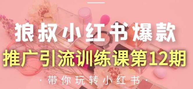 狼叔小红书爆款推广引流训练课第12期，手把手带你玩转小红书-副业网
