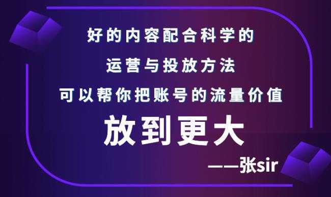 张sir账号流量增长课，告别海王流量，让你的流量更精准-副业网