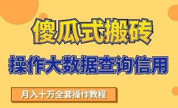 搬砖操作大数据查询信用项目赚钱教程，祝你快速月入6万-副业网