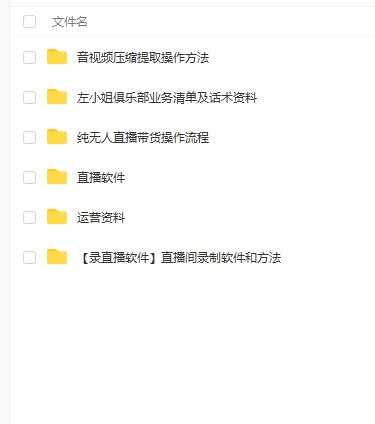 左小姐-直播带货俱乐部十三行、无人直播，全套教程附：工具、文档、话术资料-副业网