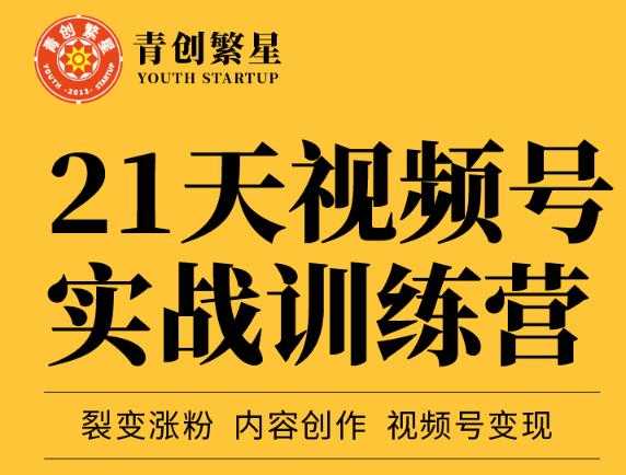 张萌21天视频号实战训练营，裂变涨粉、内容创作、视频号变现 价值298元-副业网