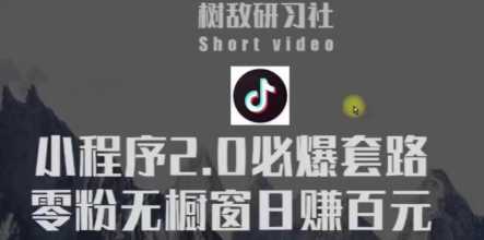树敌研习社6月抖音赚钱课程：抖音小程序2.0必爆套路零粉无橱窗日赚百元玩法-副业网