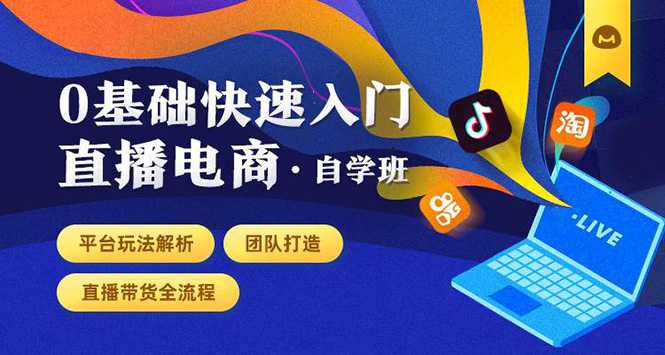 0基础快速入门直播电商课程：直播平台玩法解析-团队打造-带货全流程等环节-副业网