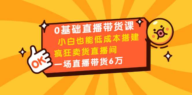 0基础直播带货课：小白也能低成本搭建疯狂卖货直播间：1场直播带货6万-副业网