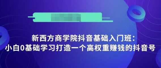 抖音基础入门班：小白0基础学习打造一个高权重赚钱的抖音号-副业网