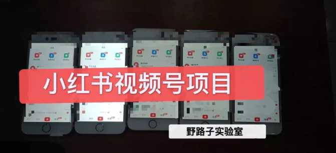 野路子小红书视频号1.0项目，直接上手操作就能赚钱的视频号项目-副业网