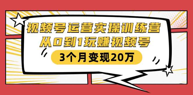 视频号运营实操训练营：从0到1玩赚视频号，3个月变现20万-副业网