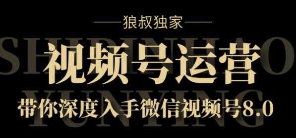 狼叔独家：视频号8.0运营实战课价值1280元-副业网