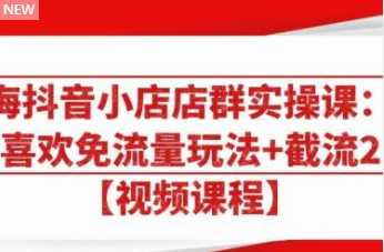大海抖音小店店群实操课：猜你喜欢免流量玩法+截流 2.0-副业网