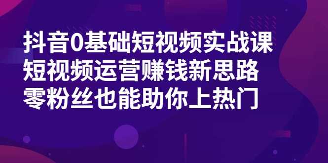 抖音0基础短视频实战课，短视频运营赚钱新思路，零粉丝也能助你上热门-副业网
