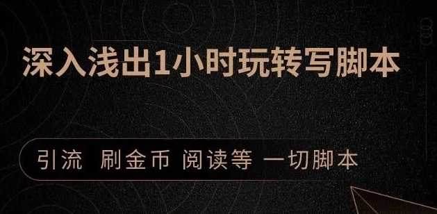 引流脚本实战课：1小时深入浅出视频实操讲解，教你0基础学会写引流脚本-副业网