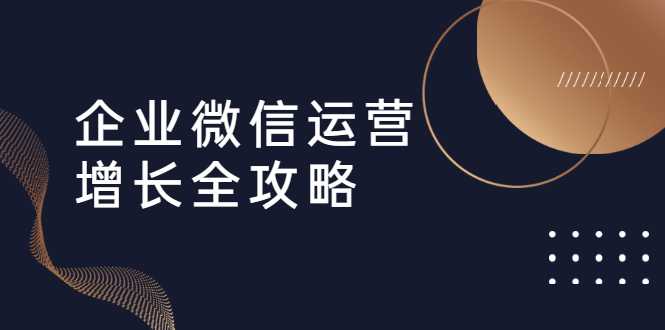 企业微信运营增长全攻略：引流+裂变+运营+成交（16节体系课）-副业网