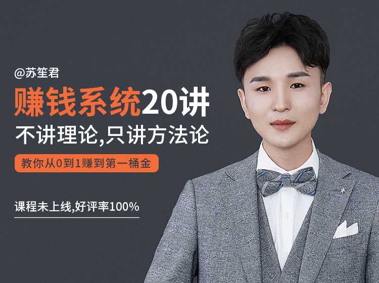 苏笙君的赚钱系统20课 教你从0到1赚到你的第一桶金（不讲理论，只讲方法论）-副业网