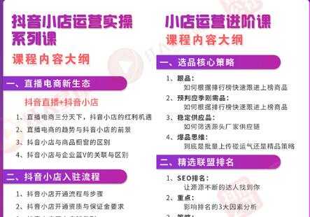 小店运营全套系列课 从基础入门到进阶精通，系统掌握月销百万小店核心秘密-副业网