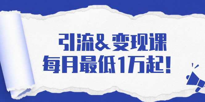 引流&变现课：分享一整套流量方法以及各个渠道收入，每月最低1万起！-副业网