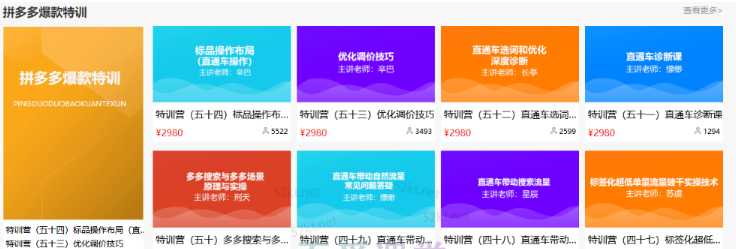 多多大师VIP拼多多运营培训课程价值2980元-副业网