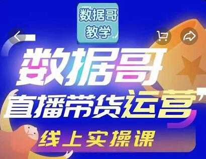 数据哥直播带货运营线上进阶课，让普通人也能靠直播赚钱!-副业网