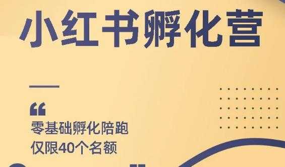 勇哥小红书撸金快速起量项目：教你如何快速起号获得曝光，做到月躺赚在 3000+-副业网