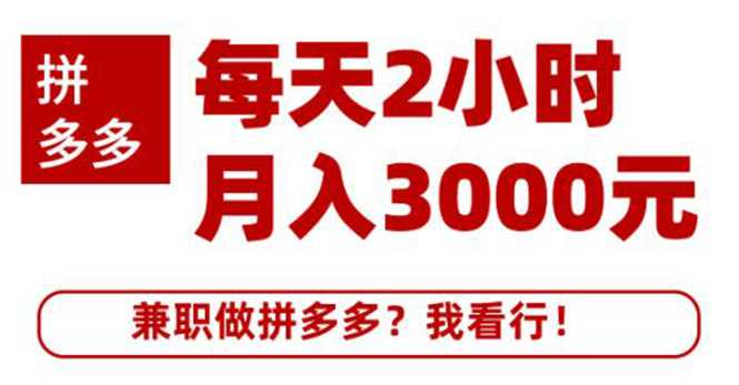 搜外网·拼多多副业课程，每天2小时月入3000元 学习这门课程真的能赚钱-副业网