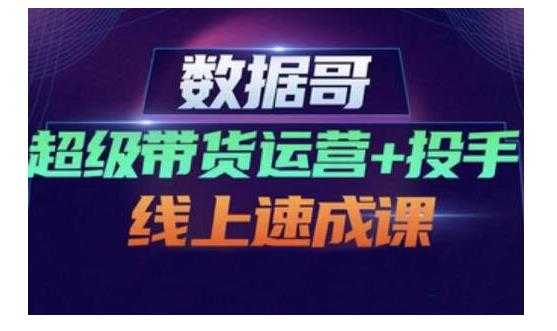 数据哥·超级带货运营+投手线上速成课，快速提升运营和熟悉学会投手技巧-副业网