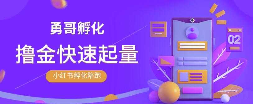 勇哥·小红书撸金快速起量陪跑孵化营，教你在小红书平台实现副业的睡后收入-副业网