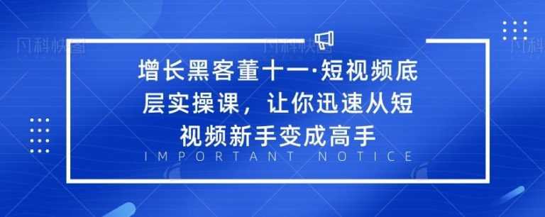 增长黑客董十一·短视频底层实操课，让你迅速从短视频新手变成高手-副业网