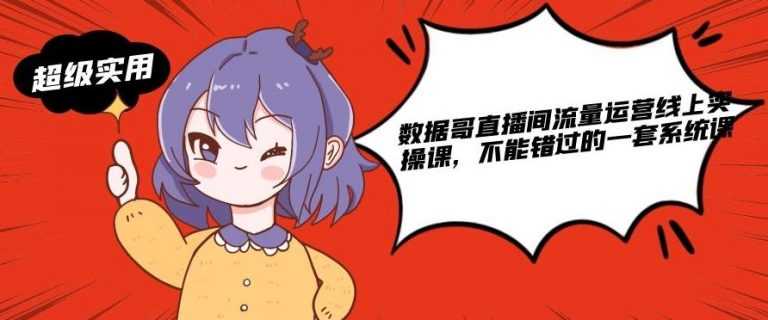 数据哥直播间流量运营线上实操课，不能错过的一套系统课-副业网