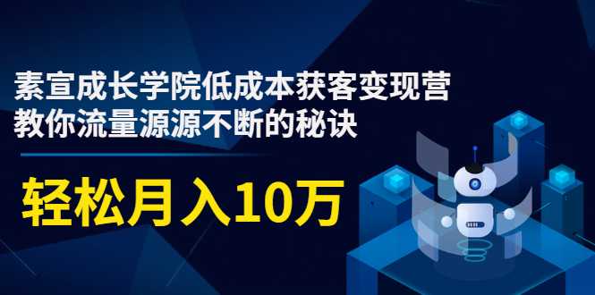 素宣成长学院低成本获客变现营，教你流量源源不断的秘诀，轻松月入10万-副业网