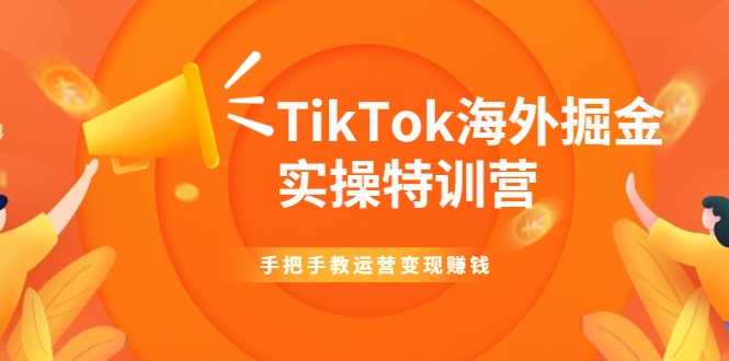 TikTok海外掘金实操特训营：手把手教运营变现赚钱-副业网