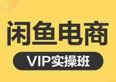 鱼客·闲鱼电商零基础入门到进阶VIP实战课程，帮助你掌握闲鱼电商所需的各项技能-副业网