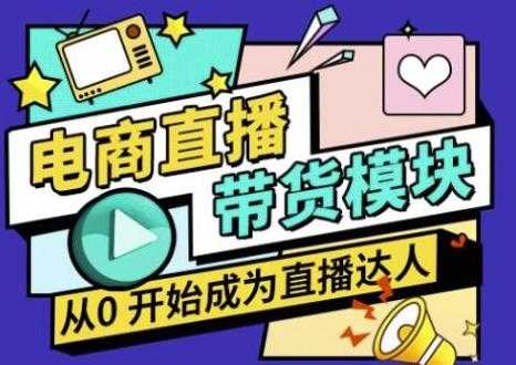 大鹏·电商直播带货课，系统学习直播带货各环节技巧和套路-副业网