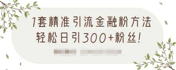 1套精准引流金融粉方法，轻松日引300+粉丝-副业网