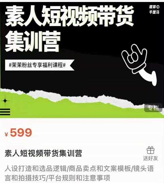 夜草与千里马素人短视频带货集训营，薛辉团队价值599-副业网