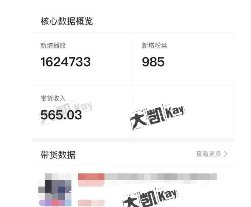 大凯进阶圈新玩法之拼多多视频玩法，利润大概一个号一天能有500~1500的左右!-副业网