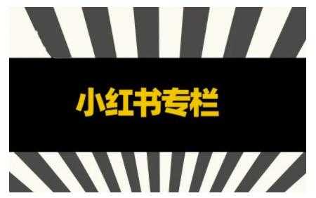 品牌医生·小红书全链营销干货，5个起盘案例，7个内容方向，n条避坑指南-副业网