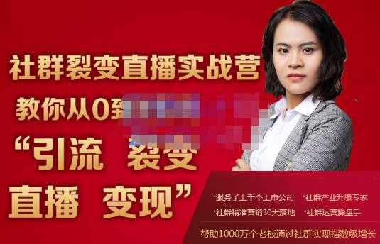 蚂蚁社群电商·社群裂变直播实战营，教你从0到1实现引流、裂变、直播、变现-副业网