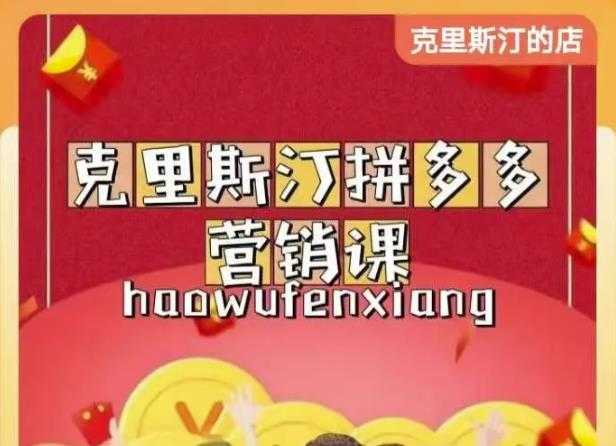 克里斯汀拼多多运营课，适合小白初涉平台，低成本入门-副业网